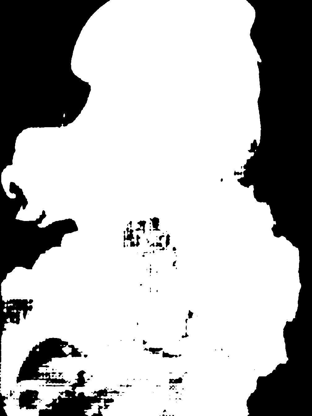 segment_anything_result_2_6